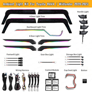 Dynamic Ambient Light for Toyota RAV4 2019-2024 Interior LED Lighting Trim Upgrade Accessories Kit Carputech